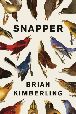 Snapper by Brian Kimberling