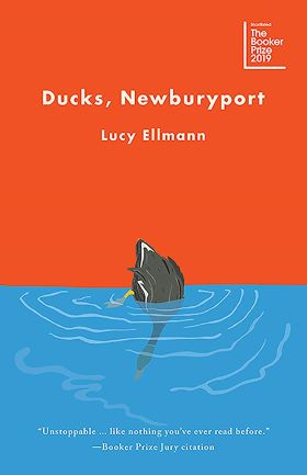 Ducks Newburyport by Lucy Ellman